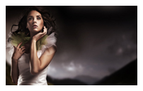 ip攻击器网页版ddos